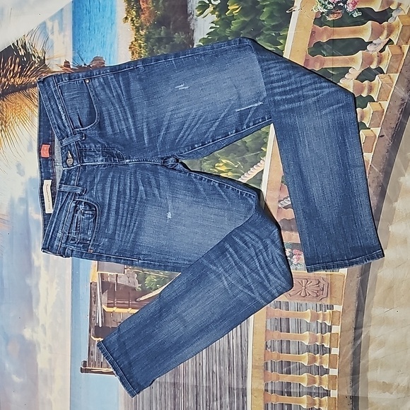 Pilcro and the‎ Letterpress Anthropologie Distressed Skinny Jeans Size 28 - Picture 1 of 8